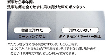 イメージ画像 新車から半年間、洗車も何も全くせずに乗り続けた車のボンネット