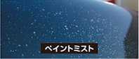 イメージ画像 ペイントミスト