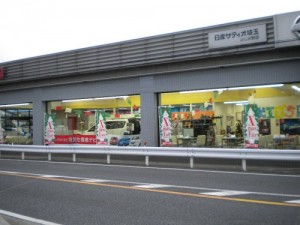 DSCN0419