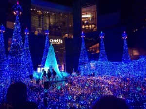 写真 2
