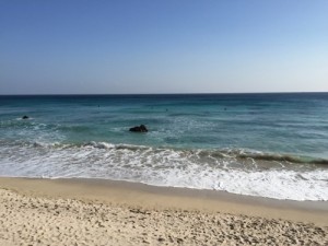 IMG_9661