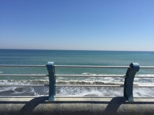 海
