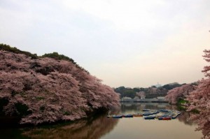 IMG_3448[1]