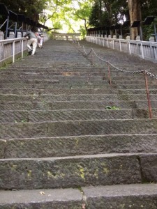 写真 1(2)