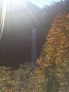 日光③