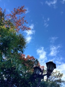 伊香保紅葉IMG_1151