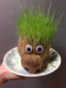 すぐ伸びた