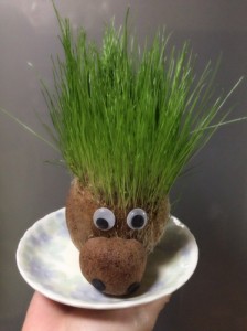 きるまえ