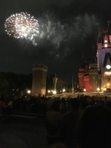 ﾃﾞｨｽﾞﾆｰ田辺