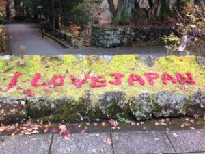 日光ＪＡＰＡＮ