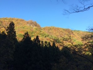 IMG_6453