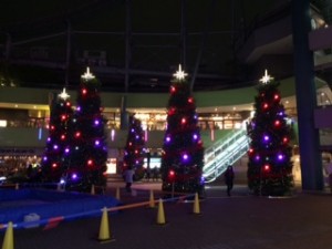 IMG_6465