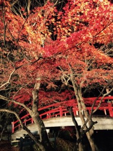 かじか橋
