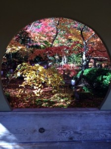紅葉 枠