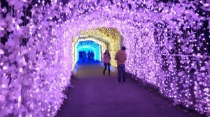 イルミ7