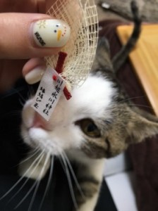 えん5