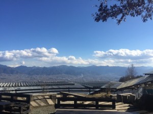 ほったらかし