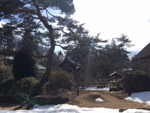 きちじょうじ1