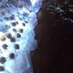 IMG_20160209_151430