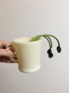 ポピー
