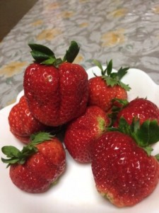 イチゴ