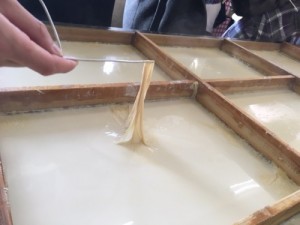 ゆば1