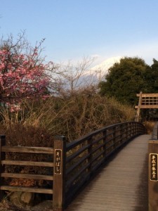 白糸の滝橋
