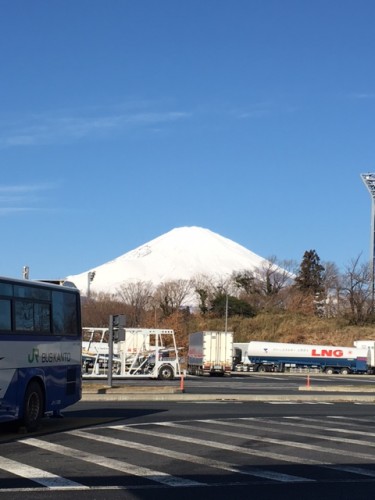 ふじ