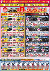 31日広告