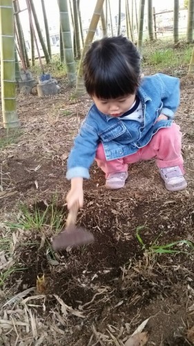 新しいイメージ1