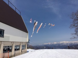 IMG_1789