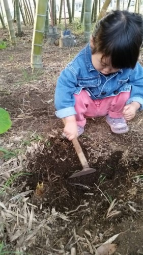 新しいイメージ2