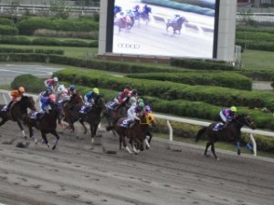 競馬