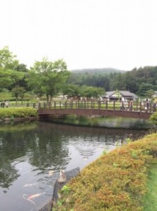 橋2