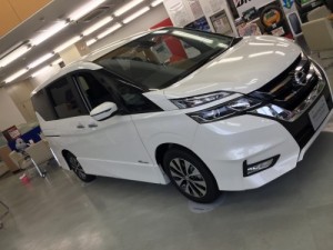 展示C27