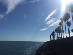 海2