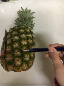 パイナップル