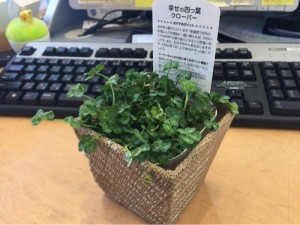 クローバー