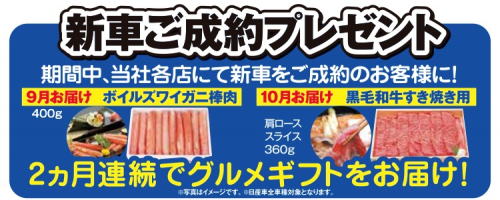 夏の大感謝祭4