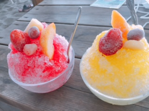 海