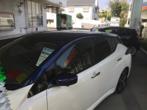 ﾘｰﾌ4