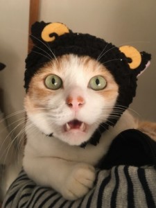 仮装ヒロシ