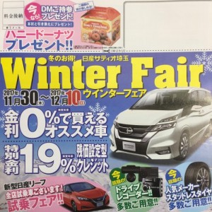 WinterFairDM