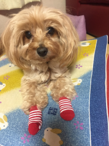 coco